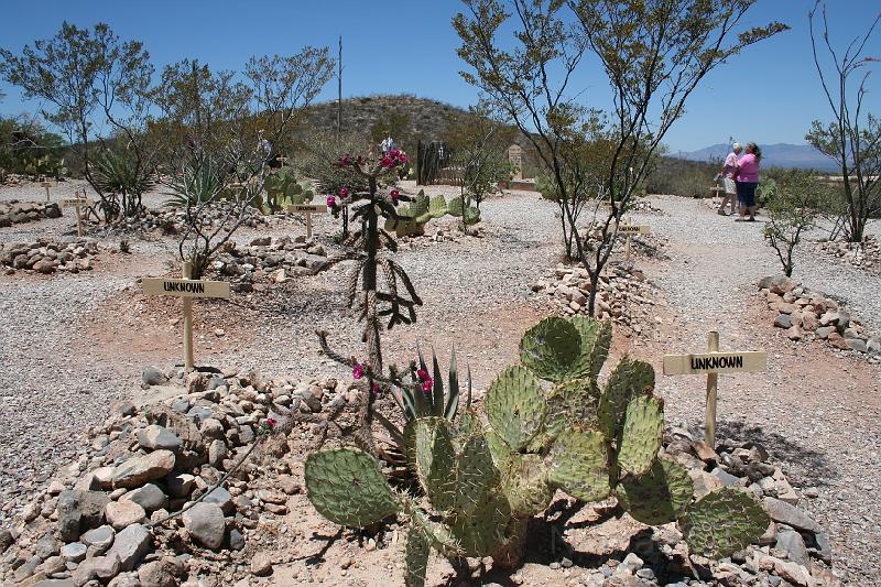 IMG_9684.JPG - Cacti decorate the graves.