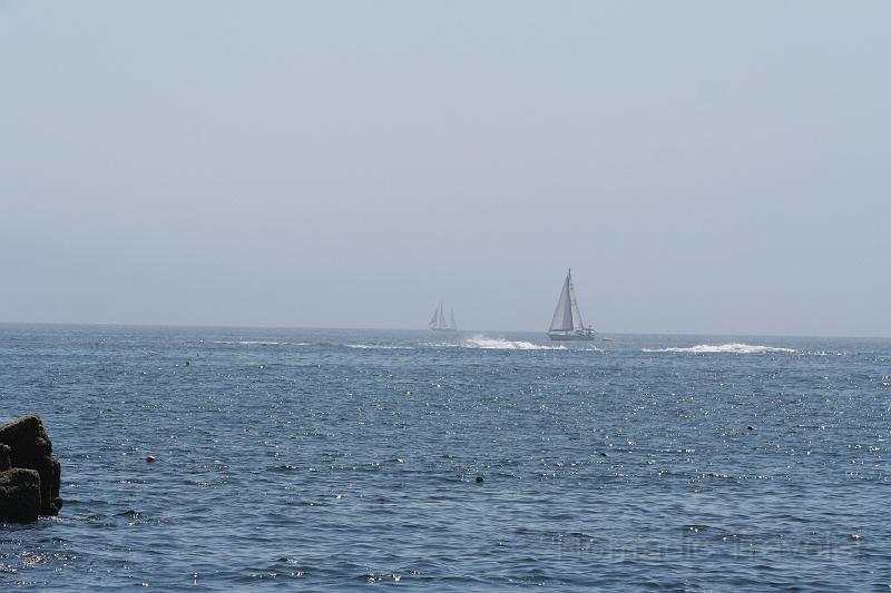IMG_9952.JPG